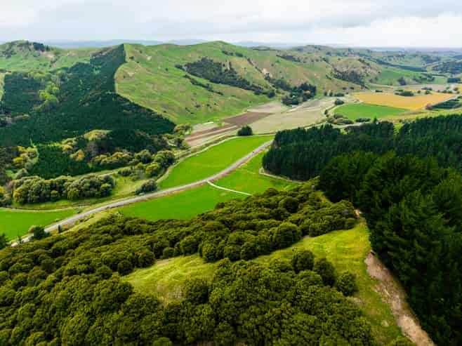 1247 Wharekopae Road, Ngatapa