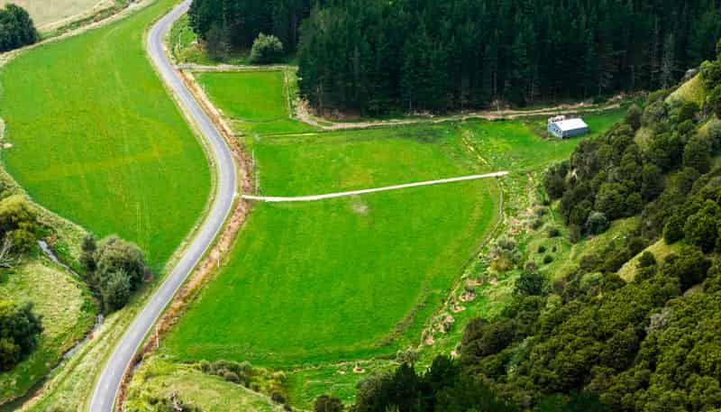 1247 Wharekopae Road, Ngatapa