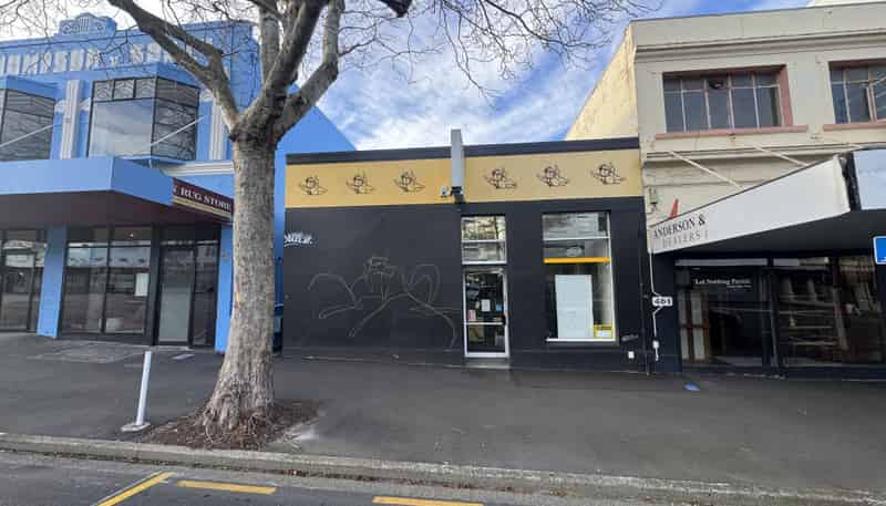 459 Princes Street, Dunedin Central