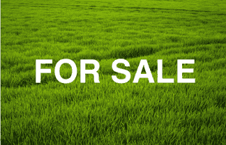 11 Makomako Drive, Orewa