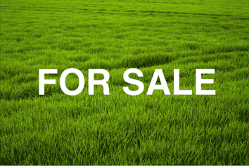 11 Makomako Drive, Orewa