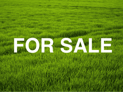 11 Makomako Drive, Orewa