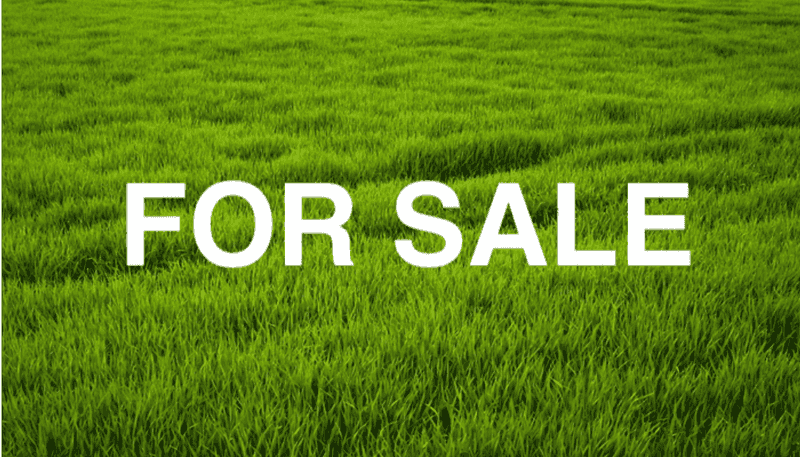 11 Makomako Drive, Orewa