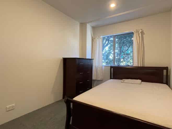 311/8 Ronayne Street, Parnell