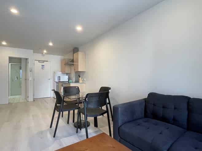 311/8 Ronayne Street, Parnell