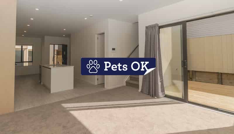 16/116 Colwill Road, Massey