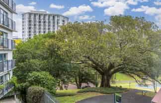 301/7 Scotia Place, Auckland Central