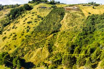 111 Ross Rise, Kinloch