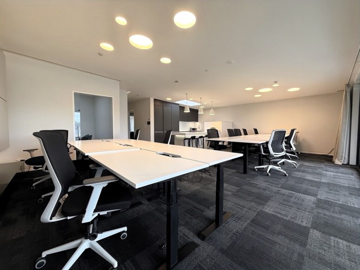 Parnell Penthouse Office & Live | 259 m²