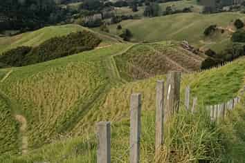 714 Weranui Road, Wainui