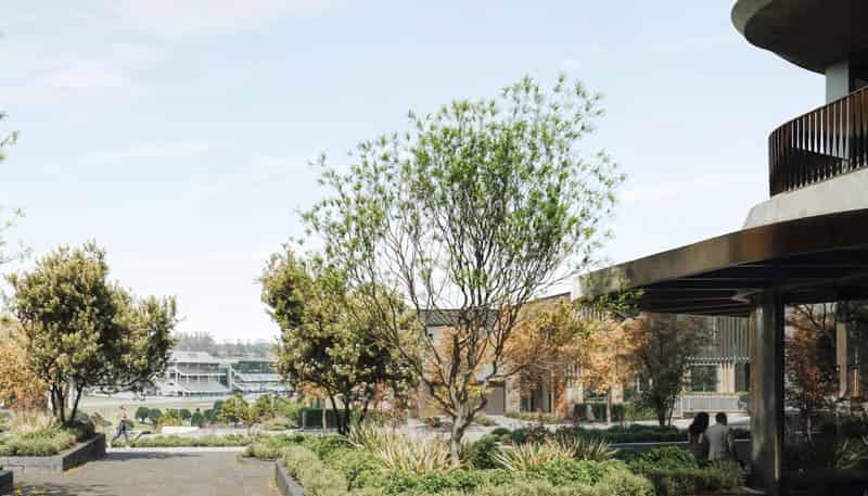 309/79 Ladies Mile, Remuera