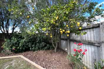 3a Mt View Place, Waipukurau