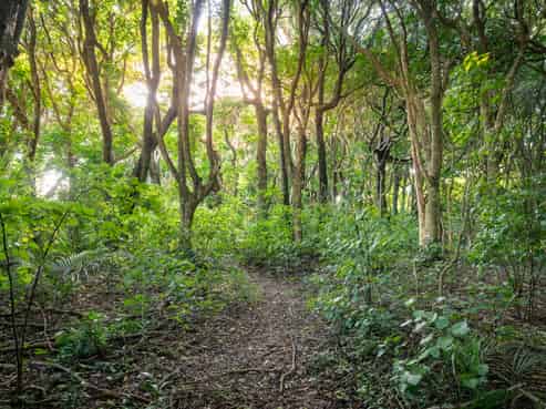 5-7 Kohekohe Road, Waikanae