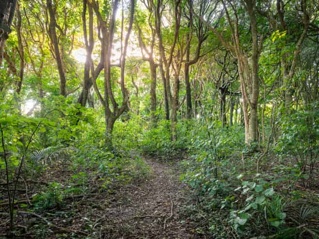 5-7 Kohekohe Road, Waikanae