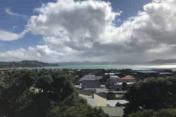 First Floo/39a Mantell Street, Seatoun