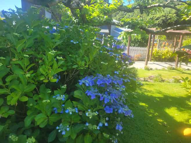 5 Amelia Crescent, Waikawa