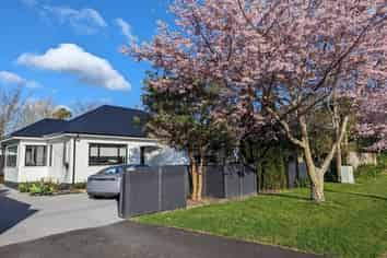 4 Graham Street, Hamilton East