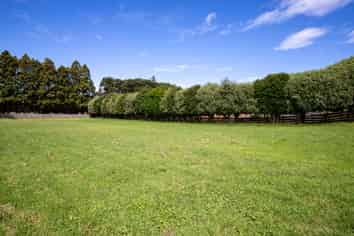 Lots 1-3/31 Millington Road, Maunu