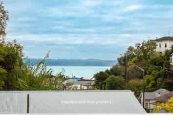 118 Shakespeare Road, Bluff Hill