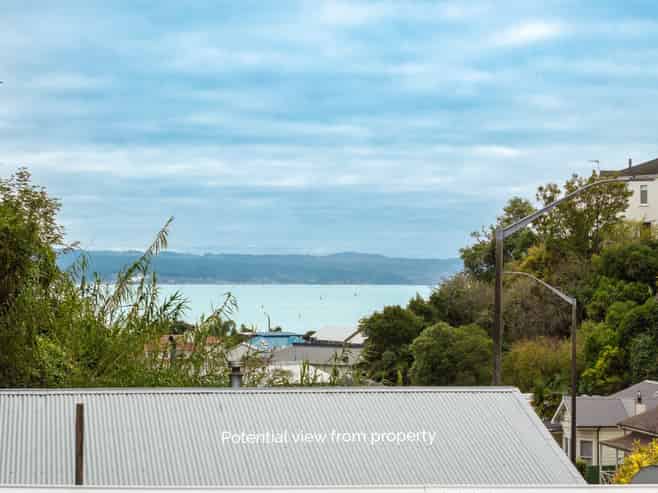 118 Shakespeare Road, Bluff Hill