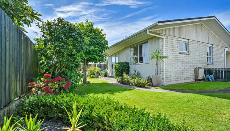 1/804A Alexandra Street, Parkvale