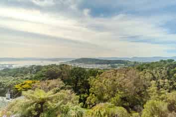 118 Ohiro Road, Brooklyn