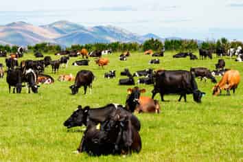 237 Otamita Road, Knapdale