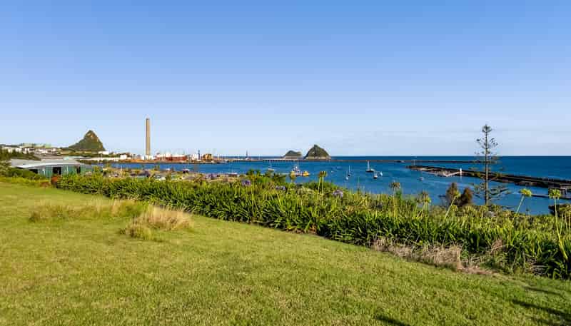 38 Birdwood Avenue, Moturoa