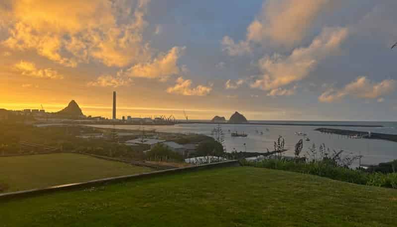 38 Birdwood Avenue, Moturoa