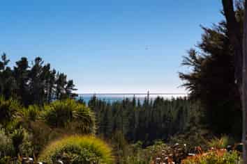 207 Kaiteriteri-Sandy Bay Road, Kaiteriteri