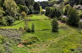 525F Mangorei Road, Highlands Park