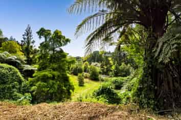 525F Mangorei Road, Highlands Park