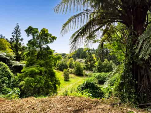 525F Mangorei Road, Highlands Park
