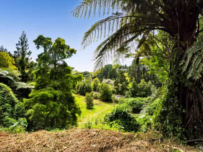 525F Mangorei Road, Highlands Park