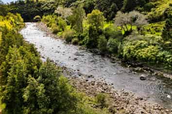 525F Mangorei Road, Highlands Park