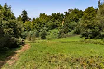 525F Mangorei Road, Highlands Park