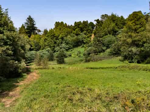 525F Mangorei Road, Highlands Park