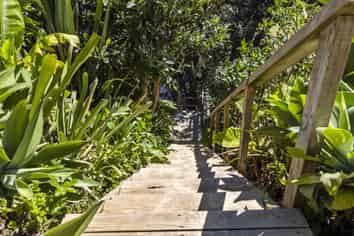 Auckland - Address withheld