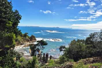 Auckland - Address withheld