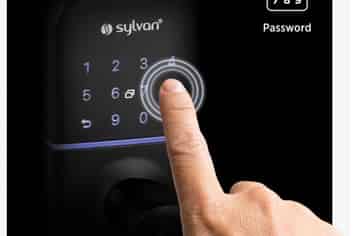 29 Black Shed Road, Flat Bush