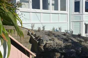 31 Disley Street, Highbury