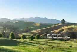 Auckland - Address withheld