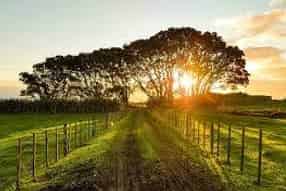 Auckland - Address withheld