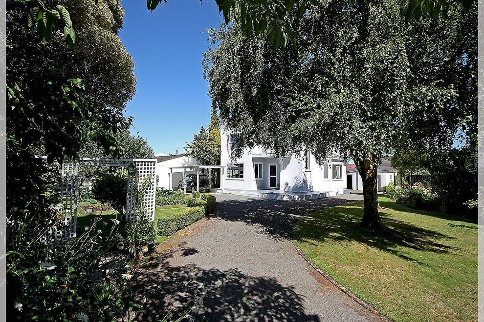 Mid-Century Haven - Vista 3
