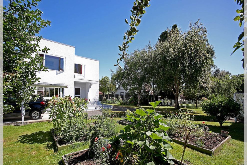 Mid-Century Haven - Vista 2