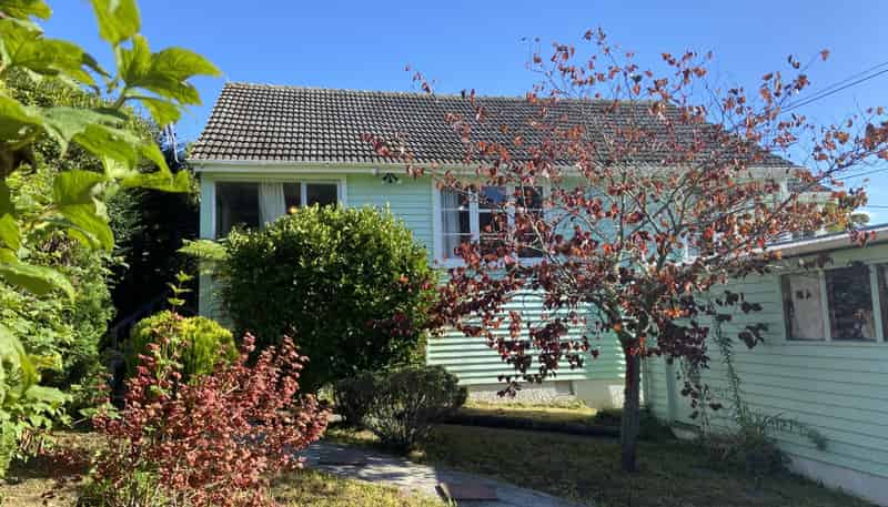 115 Judd Crescent, Naenae