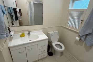 14 Martin Avenue, Mount Albert