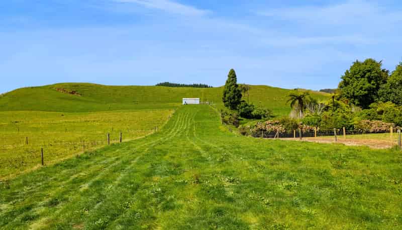 0n Mangorei Road, New Plymouth