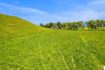 0n Mangorei Road, New Plymouth