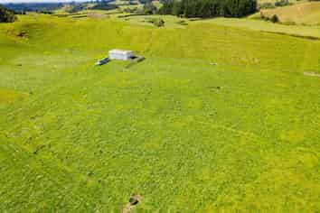 0n Mangorei Road, New Plymouth